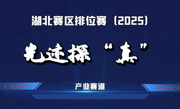 国产多模态激光探针在线检测仪