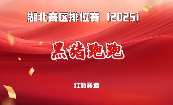 数智赋能大别山革命老区的践行者